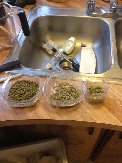 Hop additions separated for an IPA